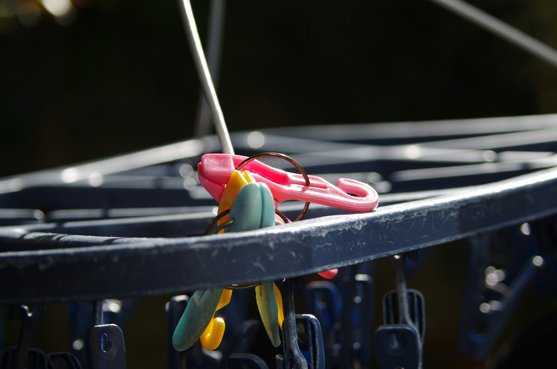 Close-up of a pinch hanger: coloured plastic pegs clipped along the rim of a folding drying rack